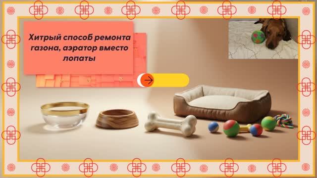 Хитрый способ ремонта газона собственными руками, аэратор и такса вместо лопаты