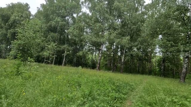 гуляю по лесу часть 19