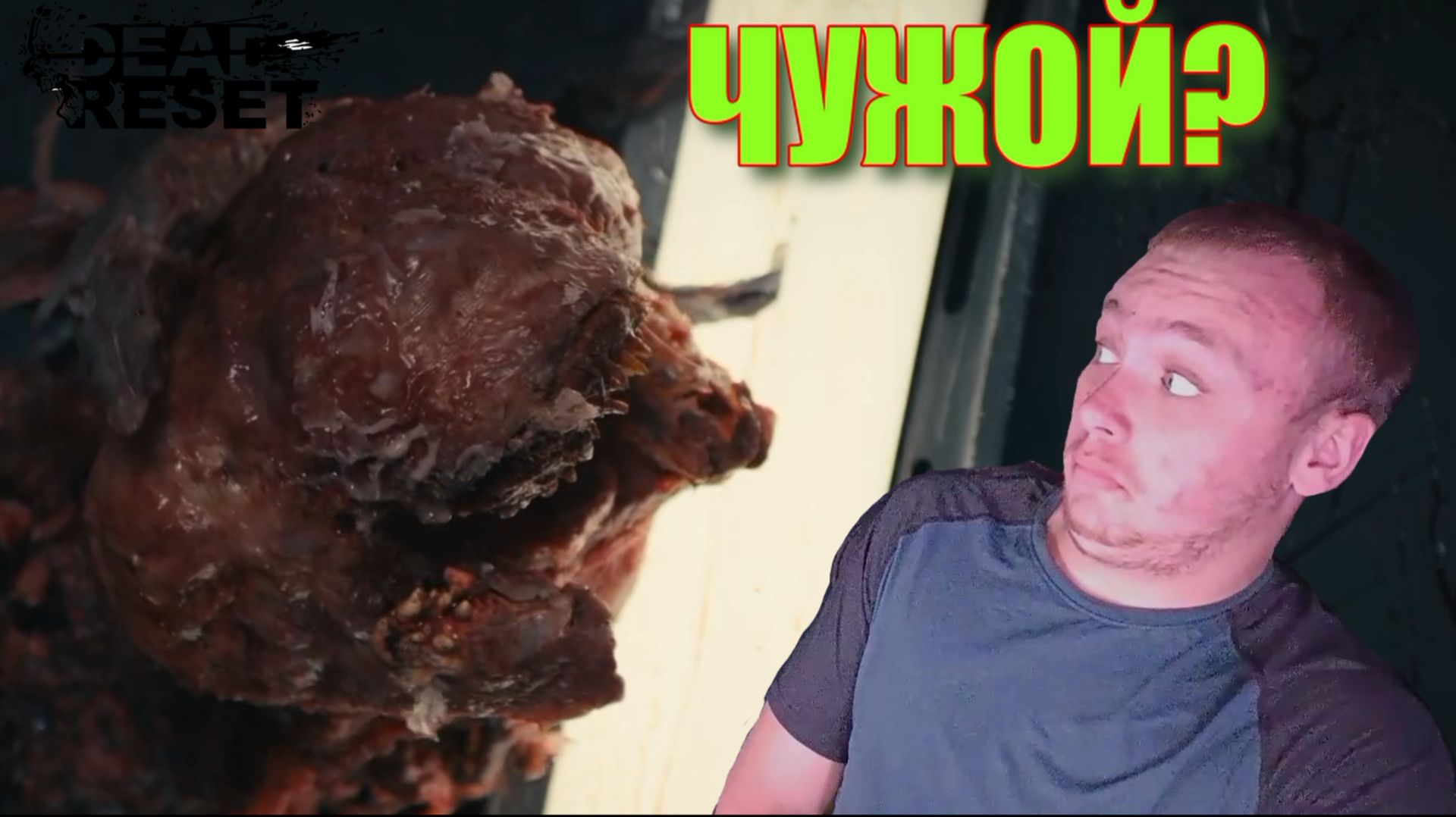 ЧТО ЗДЕСЬ ПРОИСХОДИТ?! Первый взгляд ▫️ Dead Reset #1