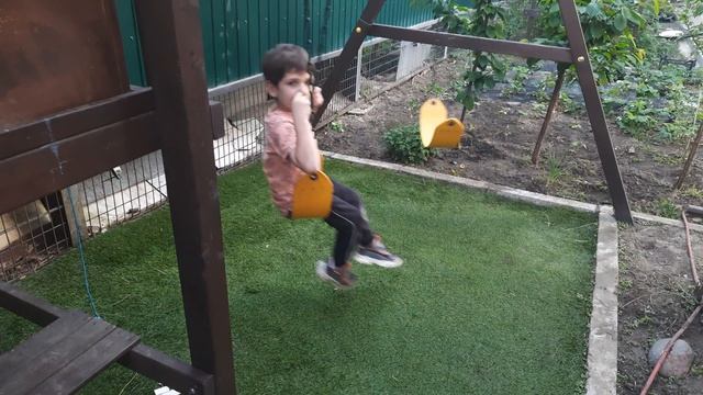 КОТЯТА ДОМАШНЕЕ ОБУЧЕНИЕ 002