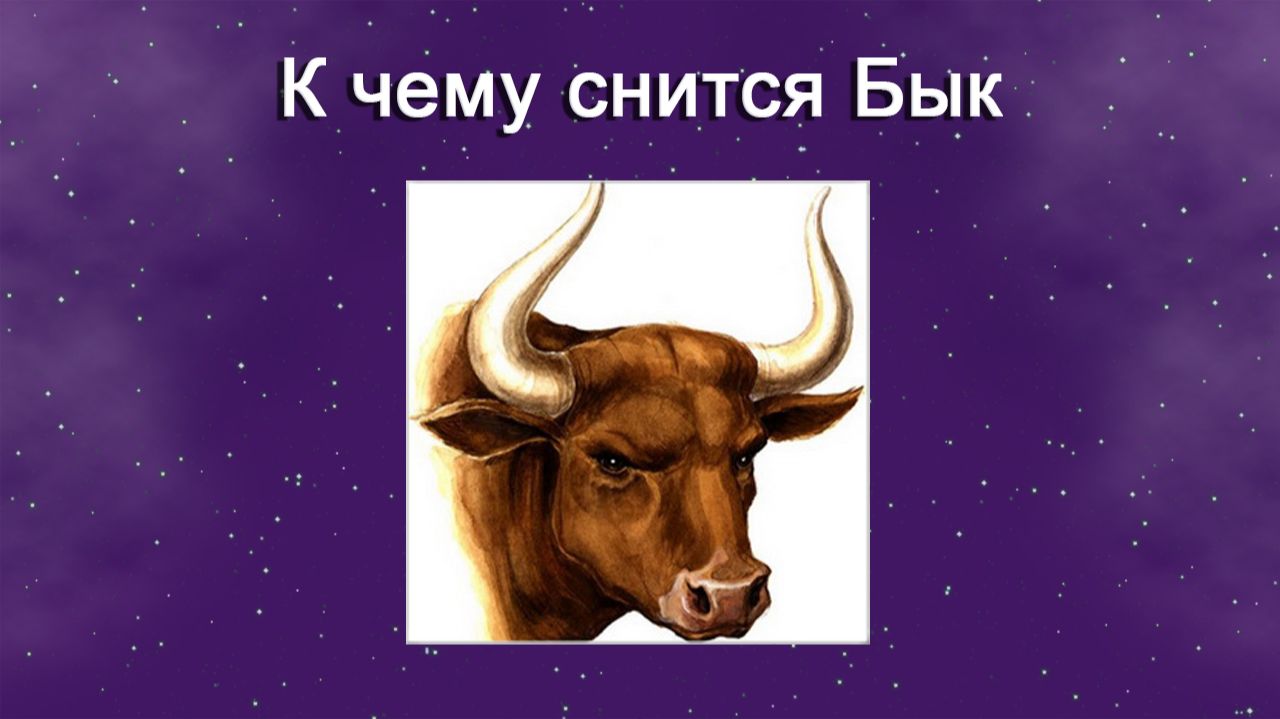К чему снится Бык - толкование сна