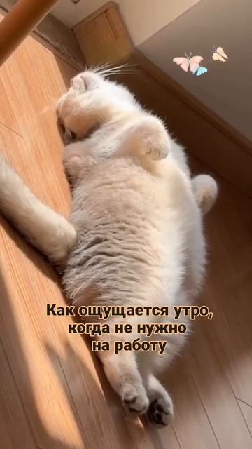 То самое утро, когда никуда не надо: кайф в мелочах