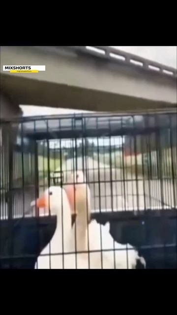 Юмор