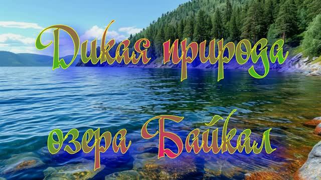 Дикая природа озера Байкал