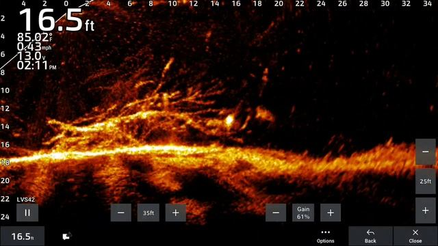 Lvs42HD в мутной воде