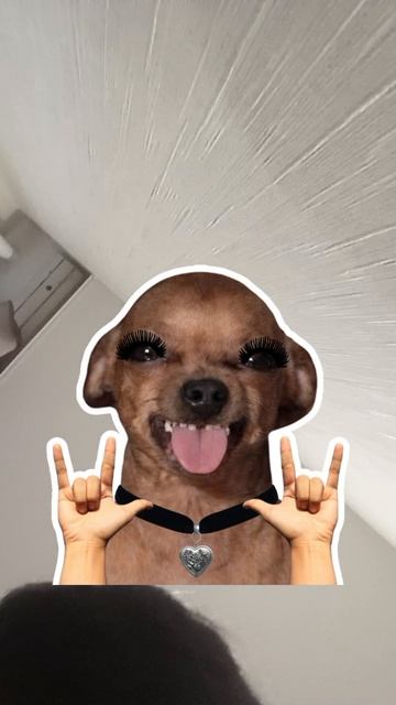 🤣полный угар до конца🤣🤣😂