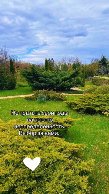 Выбор.