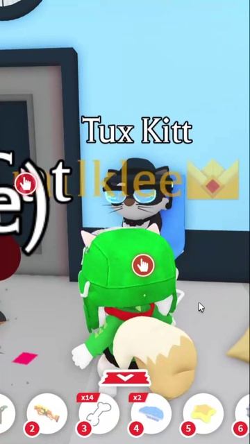 Как получить Tuxedo Cat & Chihuahua в Адопт Ми? #roblox  #роблокс  #adoptme  #адоптми