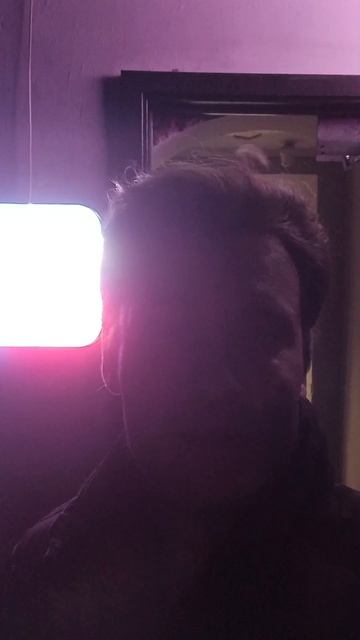 2026-08-15