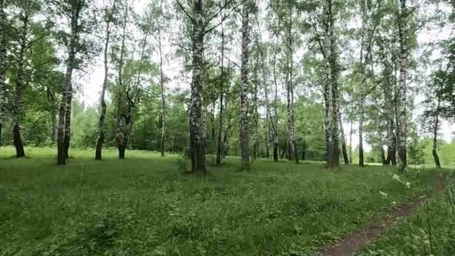 гуляю по лесу 44
