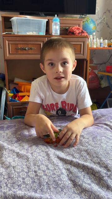 Передача про насекомых