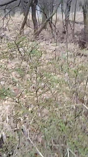 #nature