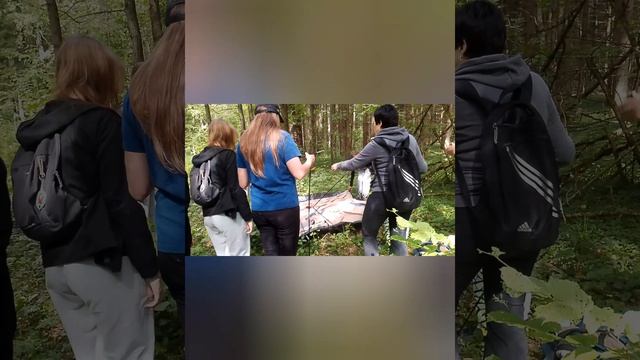 поход в бору