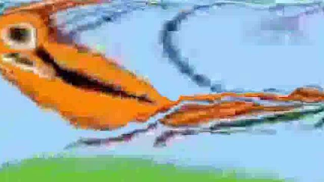 Три Ткота заставка 2026 г (жмых ×5)