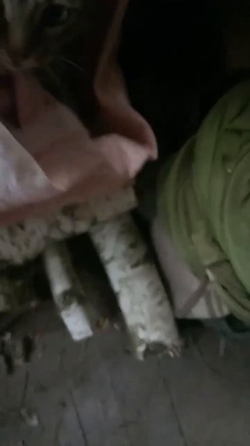 Ты кто_