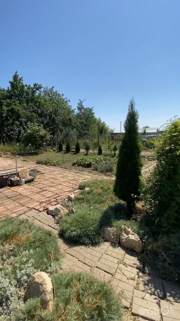 Видеообзор