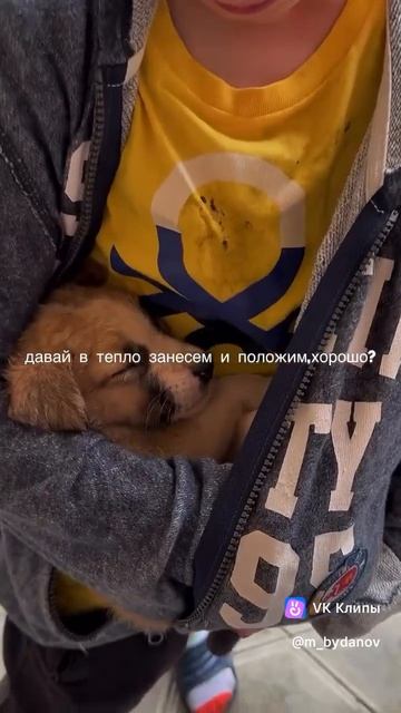 Жалко стало!