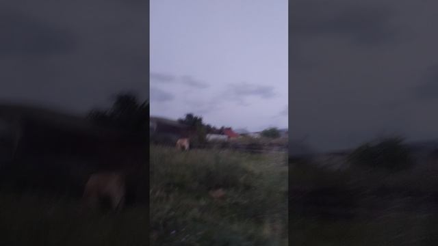 Красоты Башкирии