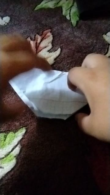 летучка мышка
