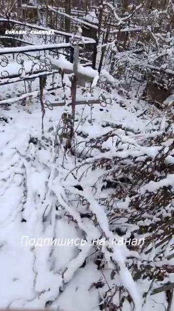 Забытые могилы