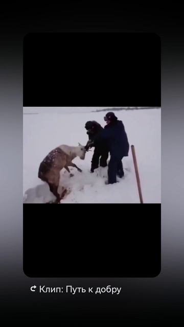 спасли!