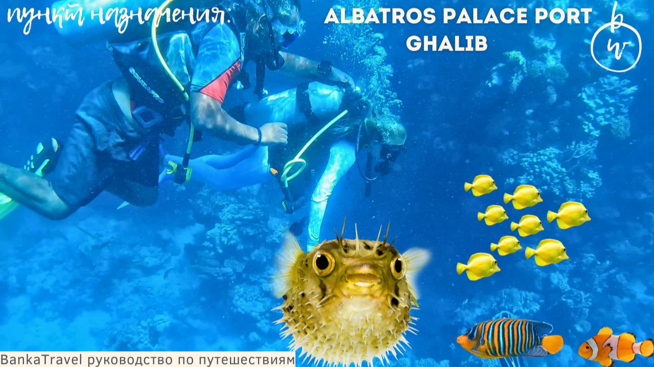 Pickalbatros Palace Port Ghalib — отель в самом центре Порт-Галиб