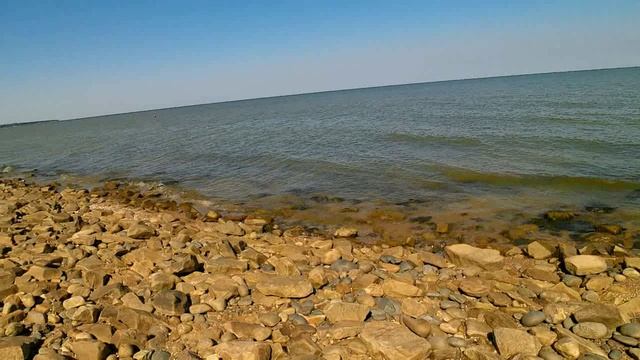 Медуз очень мало! Вода +26.