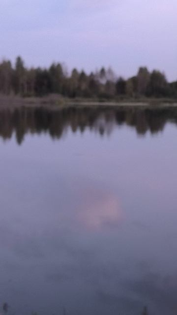 Я живу в месте Силы, спокойствия и умиротворения.