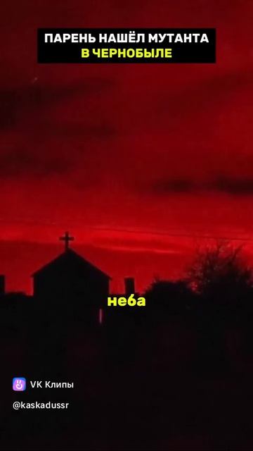 Чернобыль