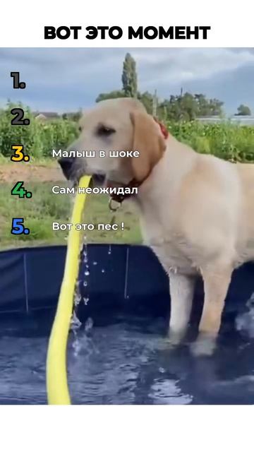 ВОТ ЭТО МОМЕНТЫ