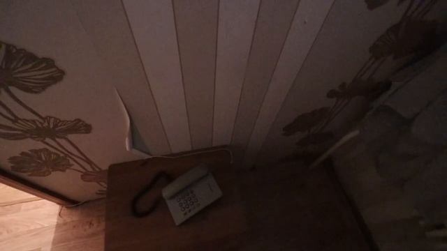 Стены хаты дребезжат. Соседи на грани потопа. Жизнь в съемном доме за один день.