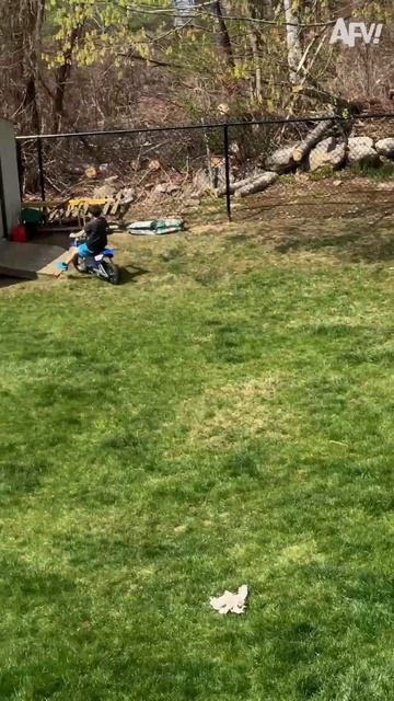 Funniest Crashes Ever 💥#afv #fail #funny