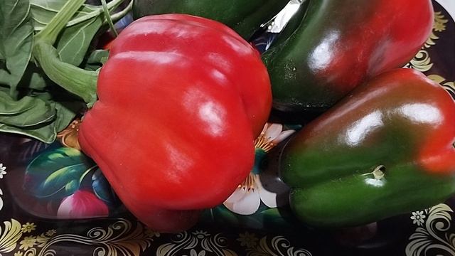VID_20260816_124347