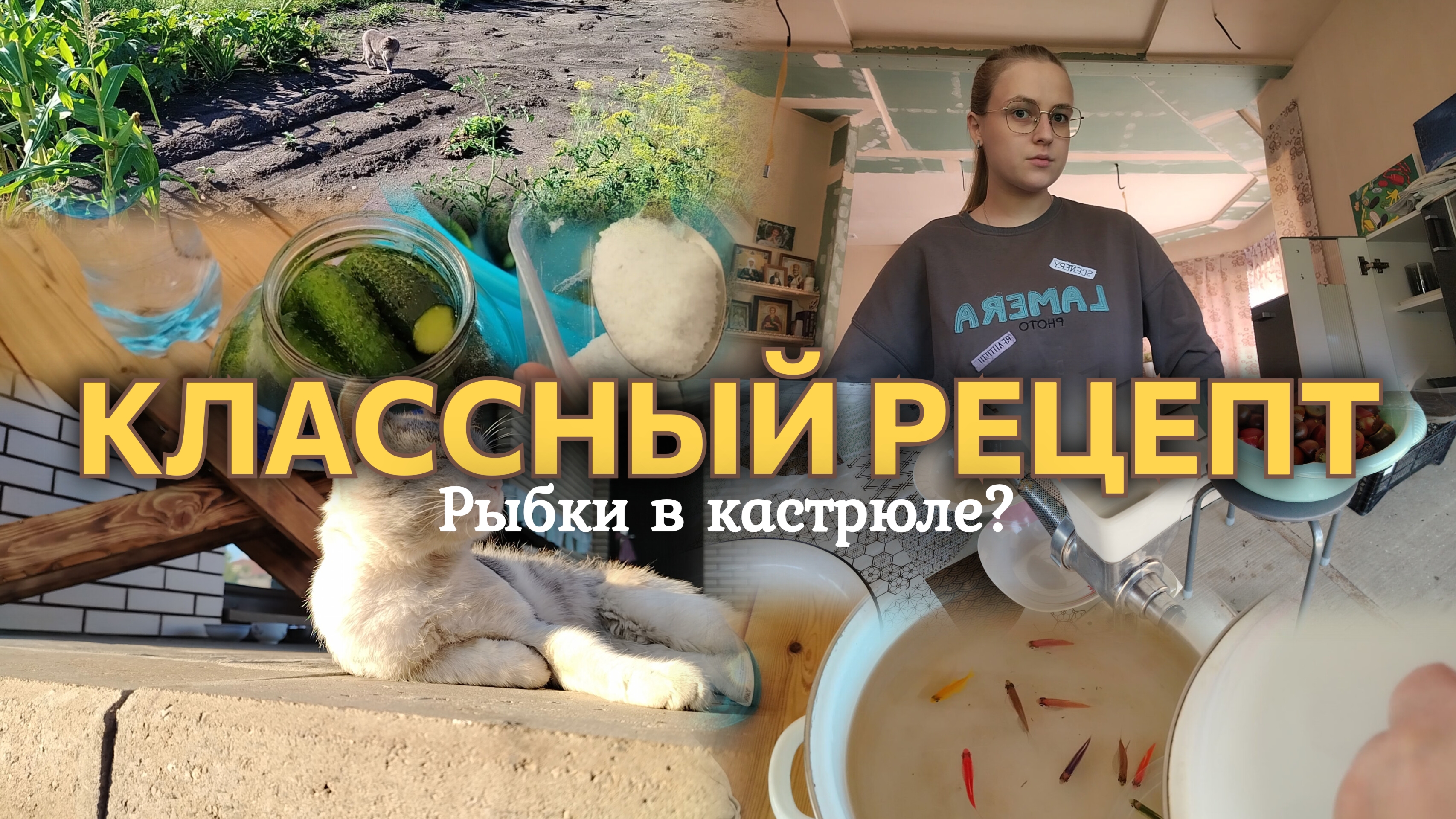ВЛОГ РЫБКИ В КАСТРЮЛЕ?🐠 Хорошая погода⛅️