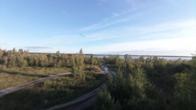 Стрекоза и метеор FPV