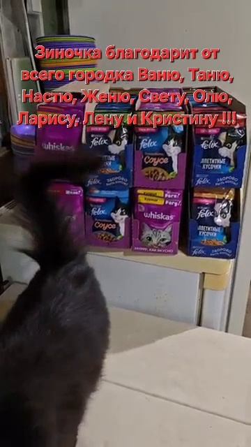 Огромное спасибо!!!