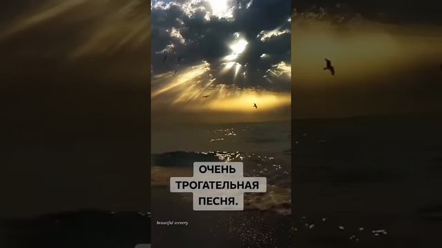 очень трогательная песня