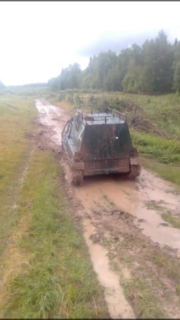 Лесной дрифт
