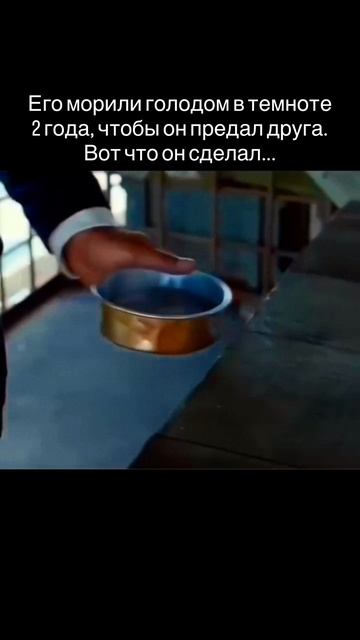 «Мотылек»