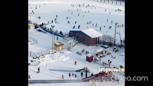 Птицы и ипотека