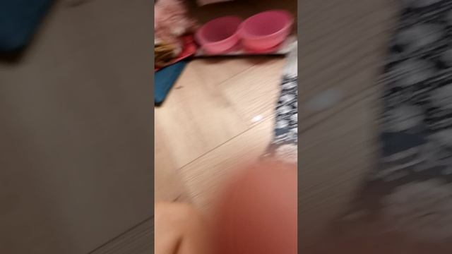кормёжка Арчи
