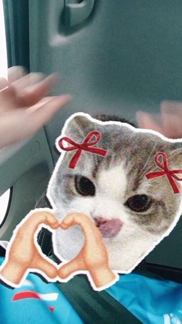 Еду на забег , бегу 2 км🤟🎀🐇