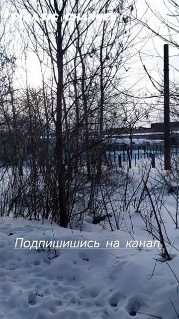 Территория автокран Иваново
