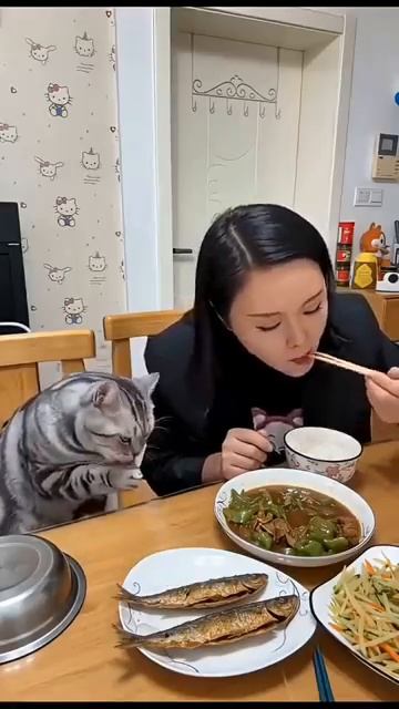 ХОЧУ🐈ЕСТЬ🐱