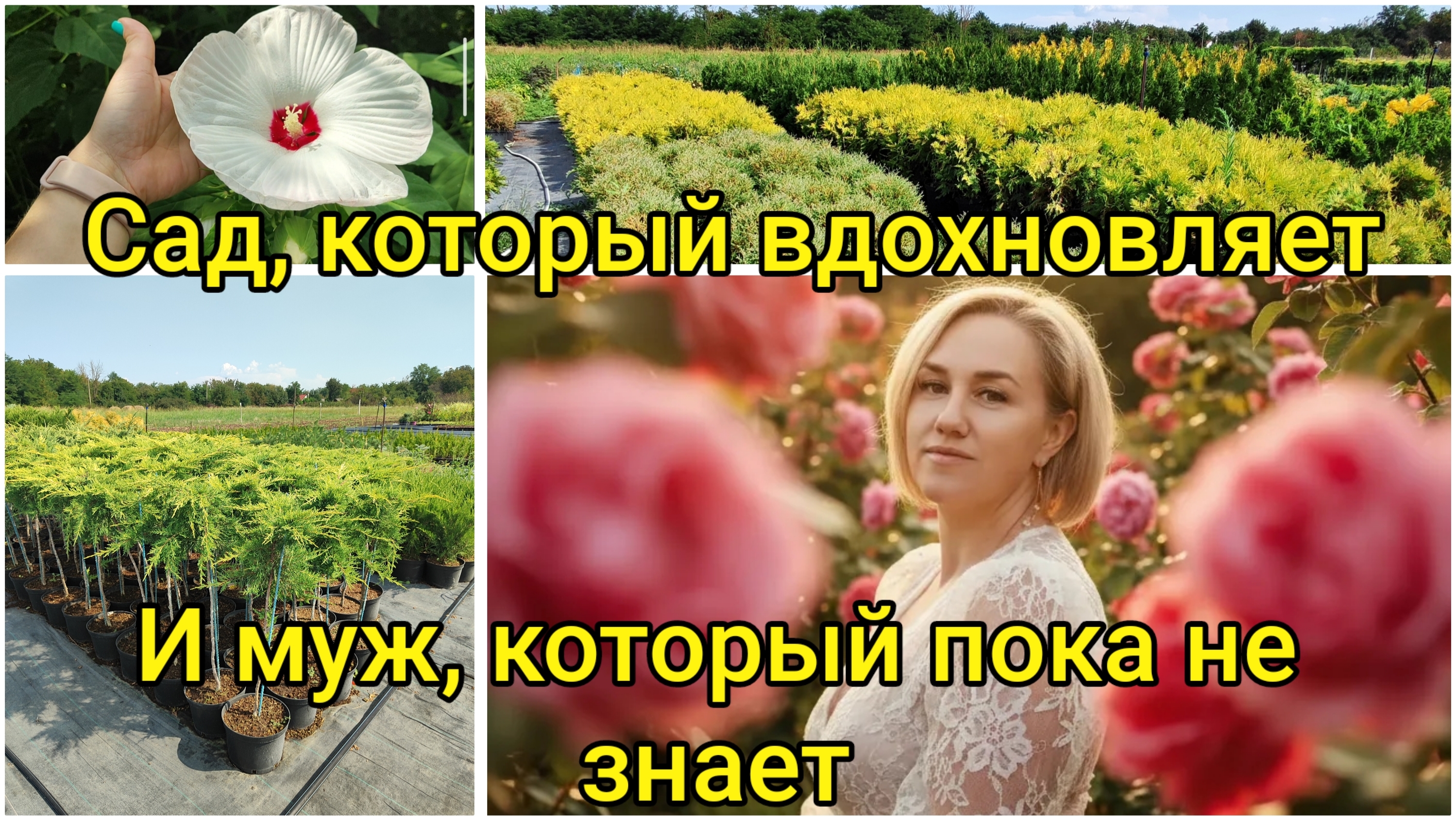 Влоги с ЮГА🌞 Дивный сад, который вдохновляет… и муж, который пока не знает 🤫🌸
