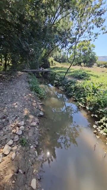 Крым Двор 