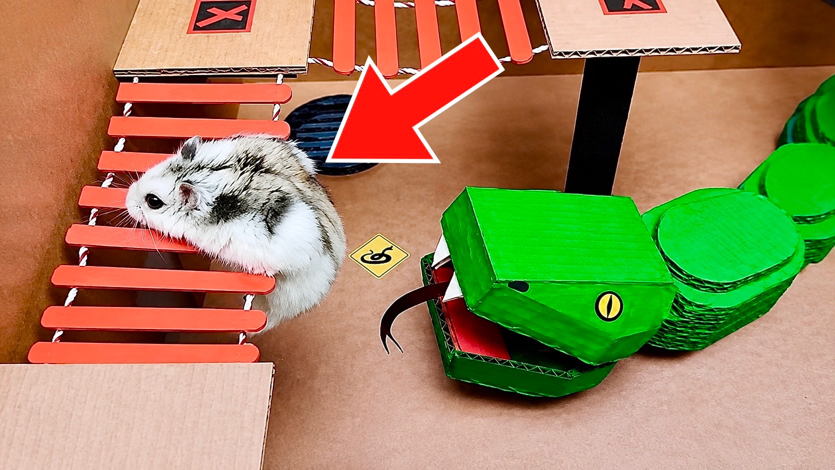 Приключения Умного Хомяка 🙀 Интересные видео, как Мультики!