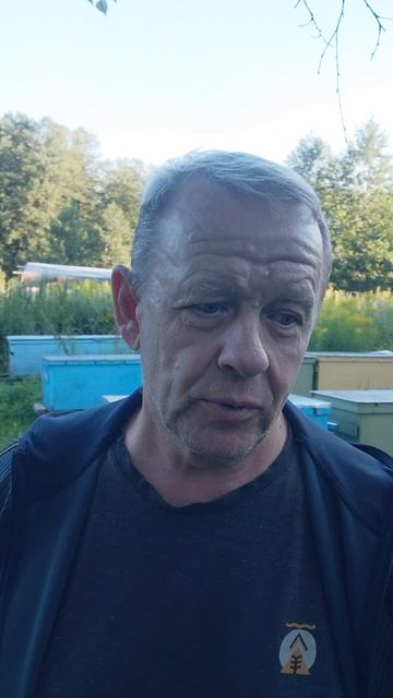 Распечатывание сотов на профессиональной пасеке