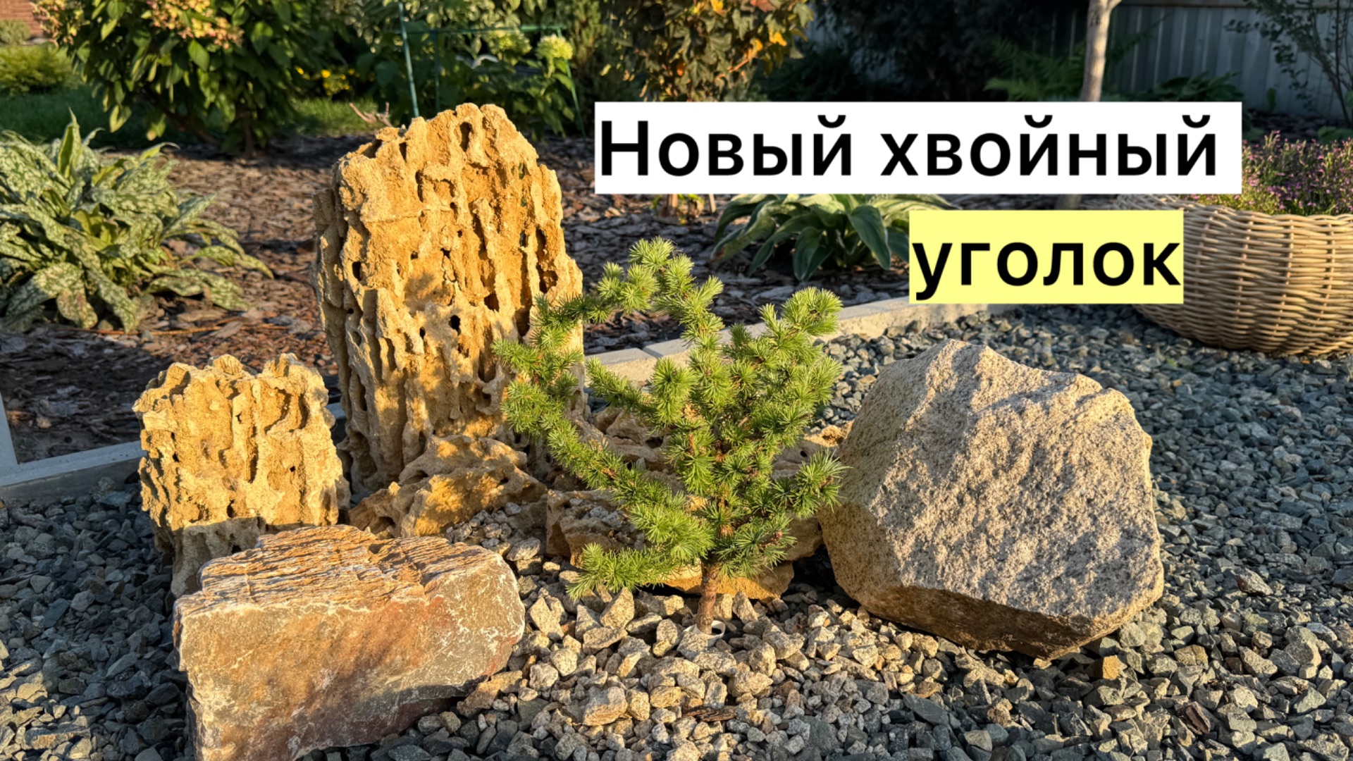 Рабочий влог! Новые посадки!