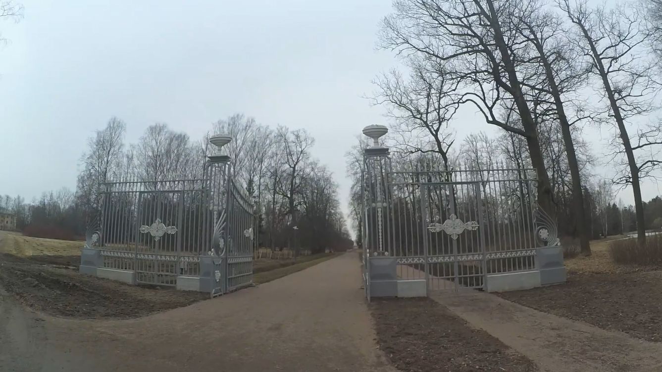 Павловский парк 5